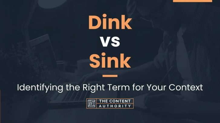 Dink vs Sink: Identifying the Right Term for Your Context
