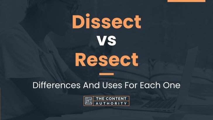 Dissect vs Resect: Differences And Uses For Each One