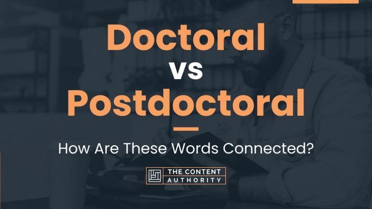 phd vs postdoctoral