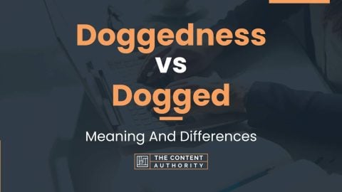 Doggedness vs Dogged: Meaning And Differences