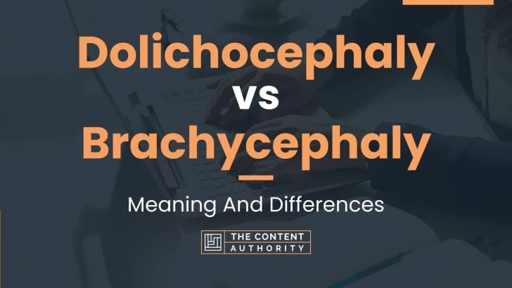 Dolichocephaly vs Brachycephaly: Meaning And Differences