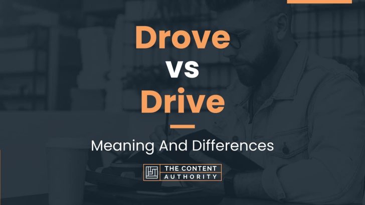 Drove vs Drive: Meaning And Differences