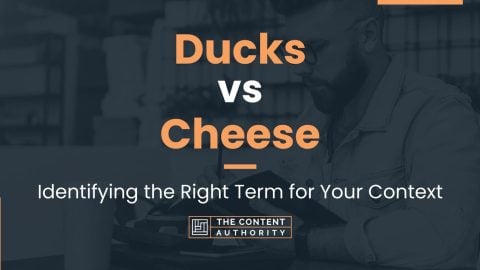 Ducks vs Cheese: Identifying the Right Term for Your Context