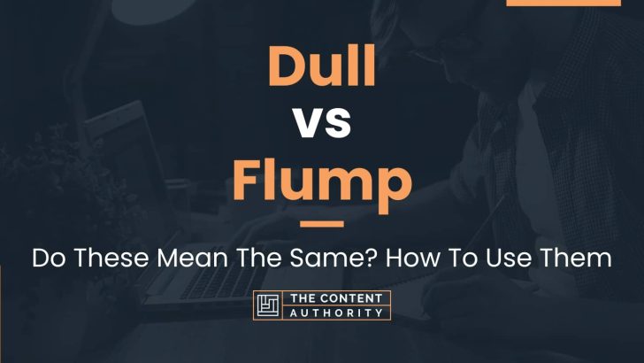 Dull vs Flump: Do These Mean The Same? How To Use Them