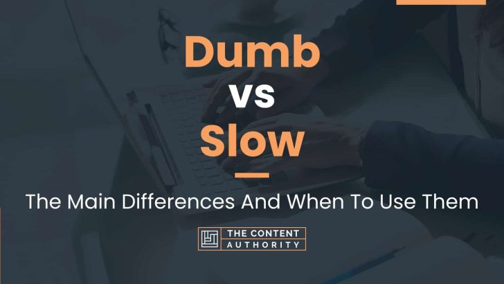 Dumb vs Slow: The Main Differences And When To Use Them