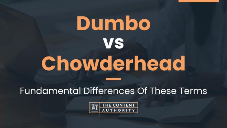 Dumbo vs Chowderhead: Fundamental Differences Of These Terms