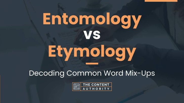 Entomology Vs Etymology Decoding Common Word Mix Ups