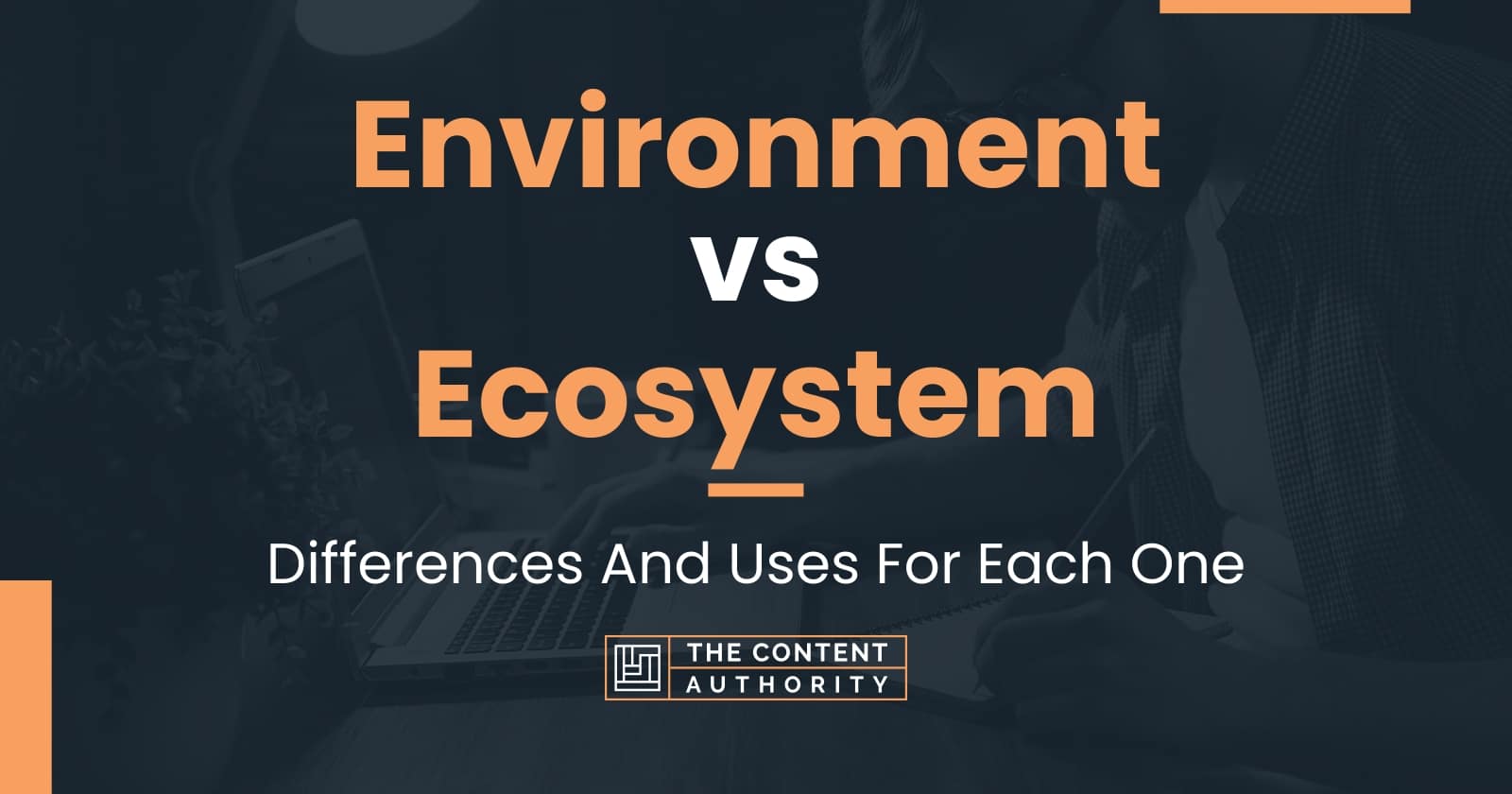 Environment Vs Ecosystem: Differences And Uses For Each One