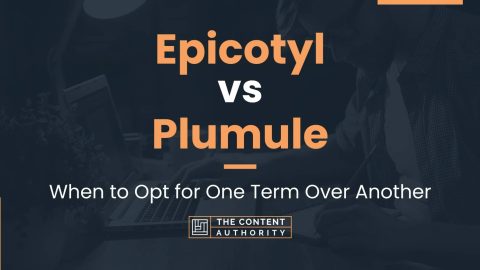 Epicotyl vs Plumule: When to Opt for One Term Over Another