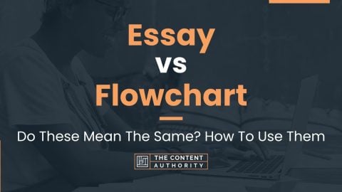 flowchart vs essay comparison and contrast