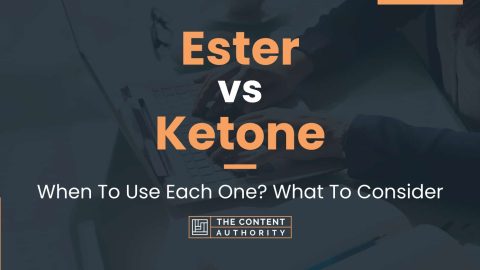 Ester vs Ketone: When To Use Each One? What To Consider