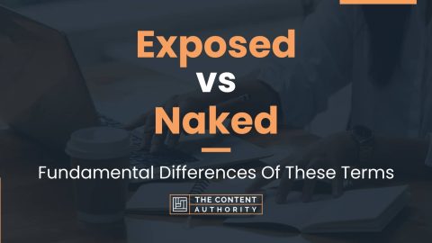 Exposed Vs Naked Fundamental Differences Of These Terms