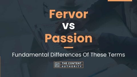 Fervor vs Passion: Fundamental Differences Of These Terms