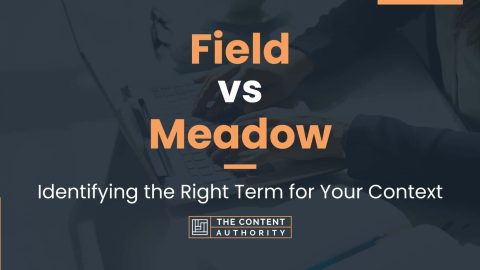 Field vs Meadow: Identifying the Right Term for Your Context