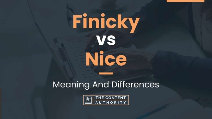 finicky-vs-nice-meaning-and-differences