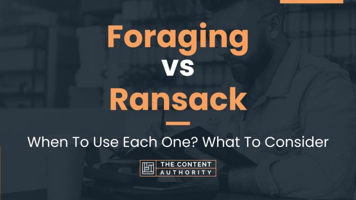 Foraging vs Ransack: When To Use Each One? What To Consider