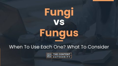 Fungi vs Fungus: When To Use Each One? What To Consider