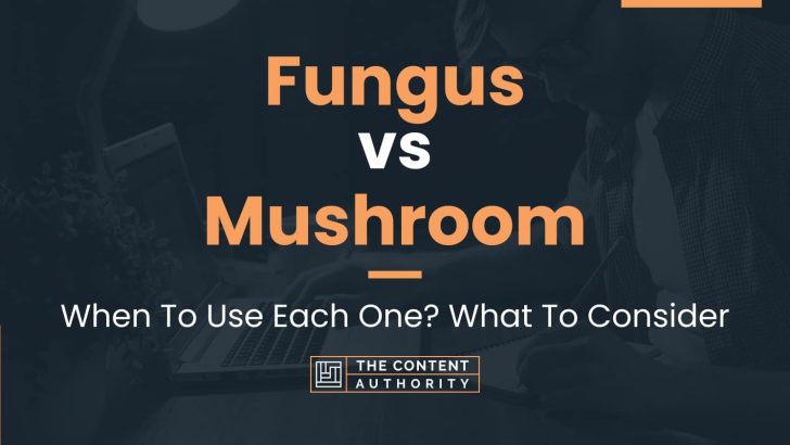 Fungus vs Mushroom: When To Use Each One? What To Consider