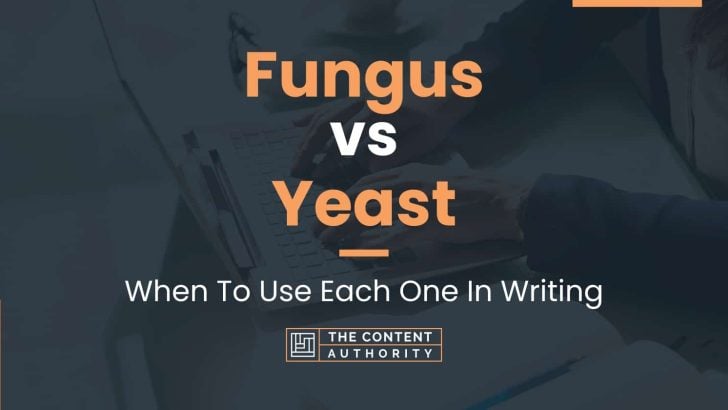 Fungus vs Yeast: When To Use Each One In Writing