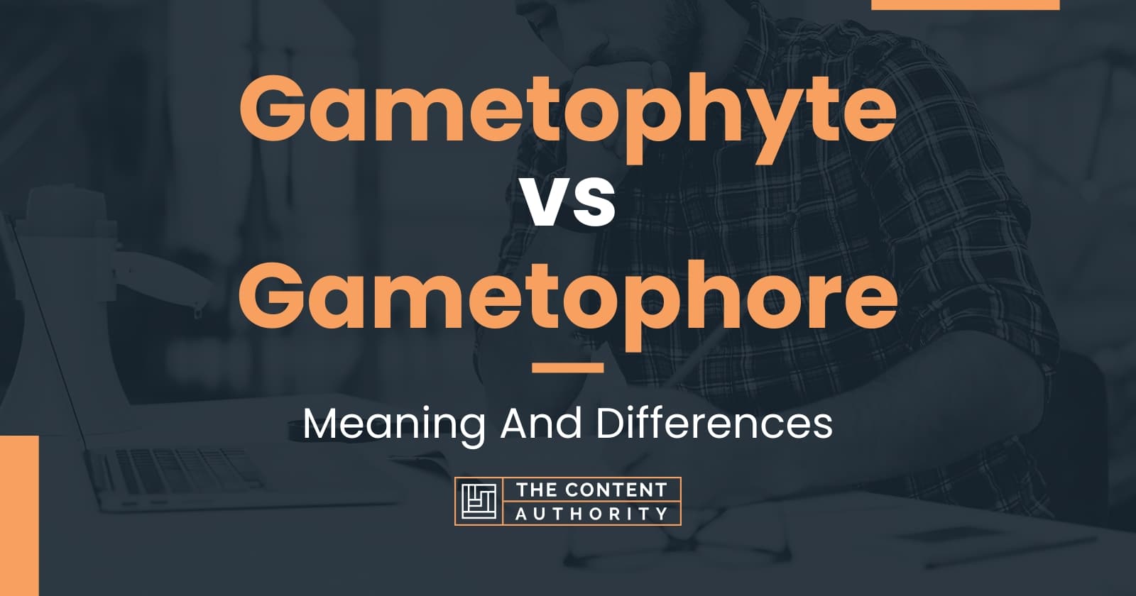 gametophyte-vs-gametophore-meaning-and-differences