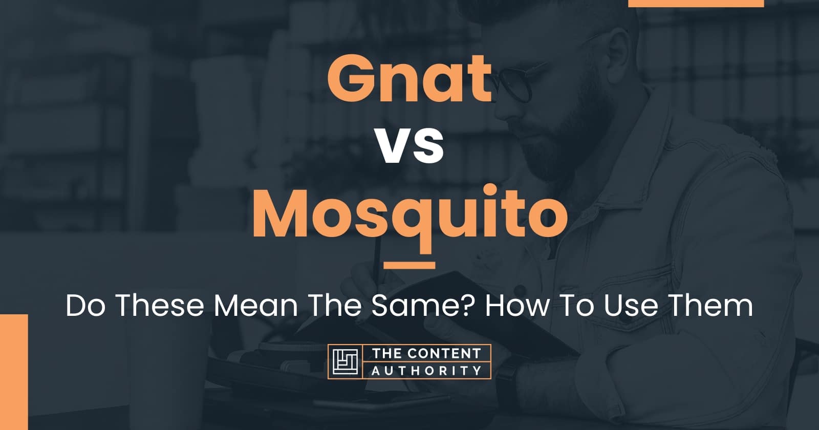 Gnat Vs Mosquito Do These Mean The Same How To Use Them   Gnat Vs Mosquito 