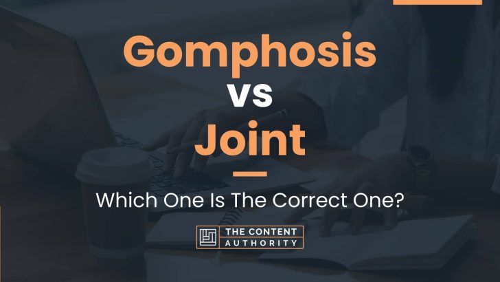 Gomphosis vs Joint: Which One Is The Correct One?