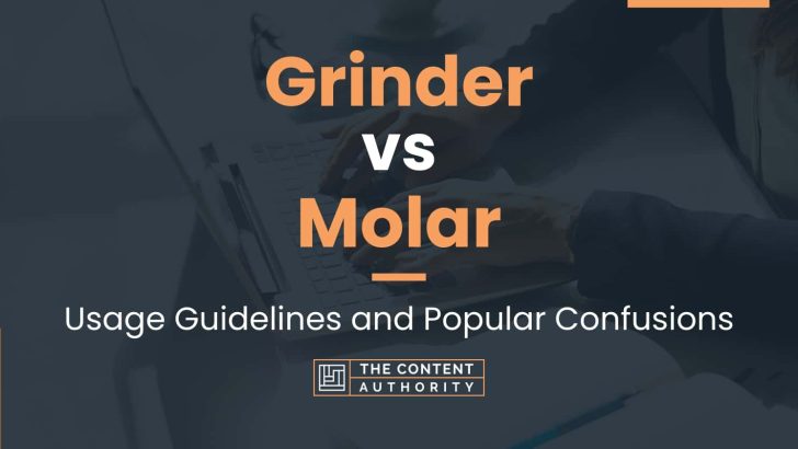 Grinder vs Molar: Usage Guidelines and Popular Confusions