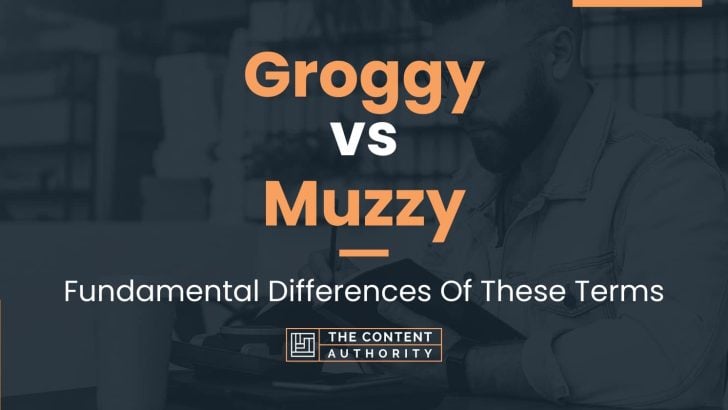 Groggy vs Muzzy: Fundamental Differences Of These Terms