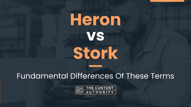 Heron vs Stork: Fundamental Differences Of These Terms