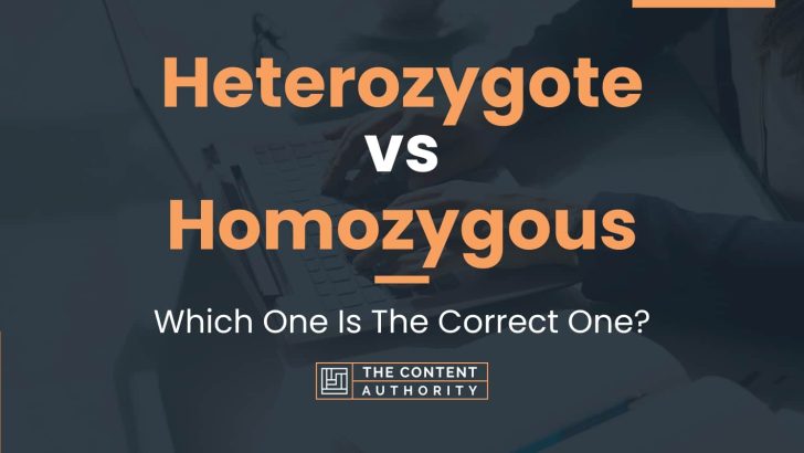 Heterozygote vs Homozygous: Which One Is The Correct One?