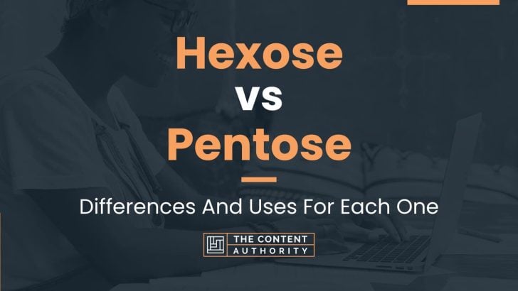 Hexose vs Pentose: Differences And Uses For Each One