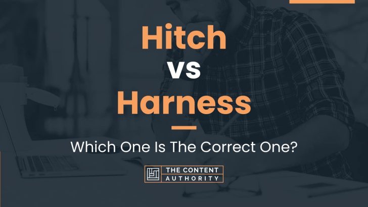 Hitch vs Harness: Which One Is The Correct One?