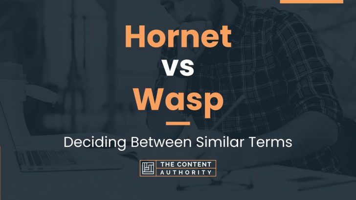 Hornet vs Wasp: Deciding Between Similar Terms