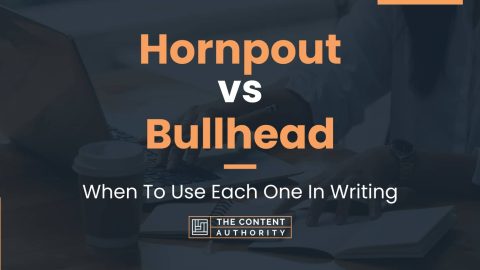 Hornpout vs Bullhead: When To Use Each One In Writing