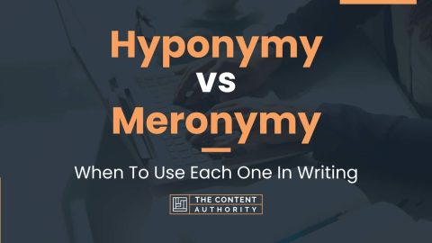 Hyponymy vs Meronymy: When To Use Each One In Writing