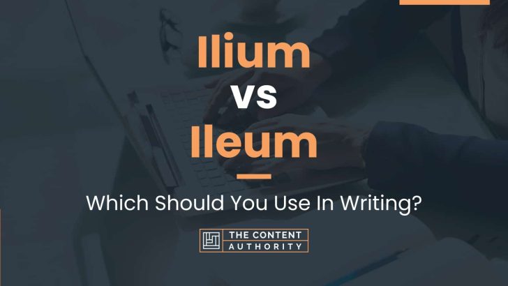 Ilium vs Ileum: Which Should You Use In Writing?