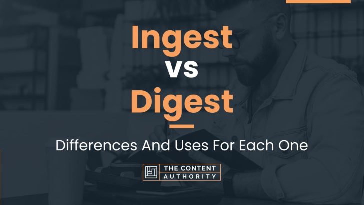 Ingest vs Digest: Differences And Uses For Each One