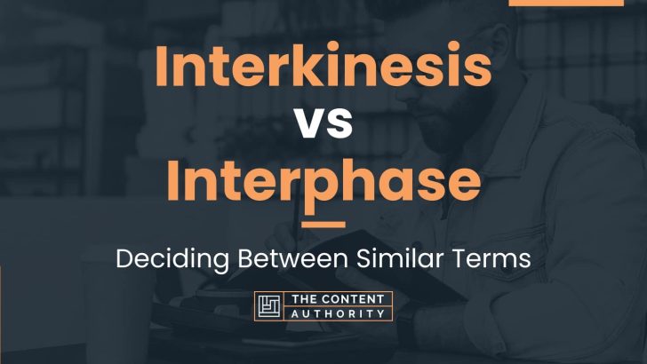 Interkinesis vs Interphase: Deciding Between Similar Terms