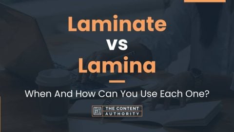 Laminate Vs Lamina: When And How Can You Use Each One?