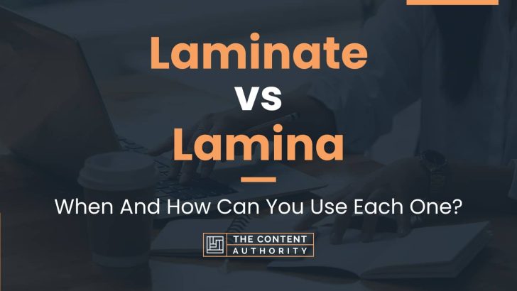 Laminate vs Lamina: When And How Can You Use Each One?