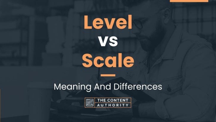 Level vs Scale: Meaning And Differences