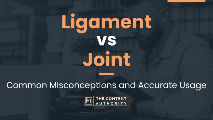 Ligament vs Joint: Common Misconceptions and Accurate Usage