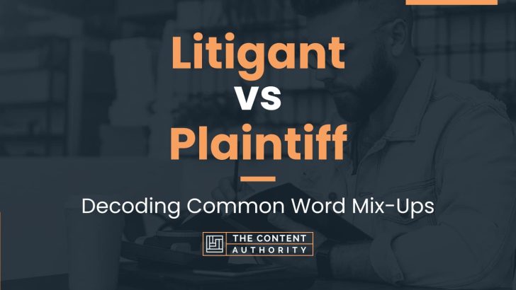 litigant-vs-plaintiff-decoding-common-word-mix-ups