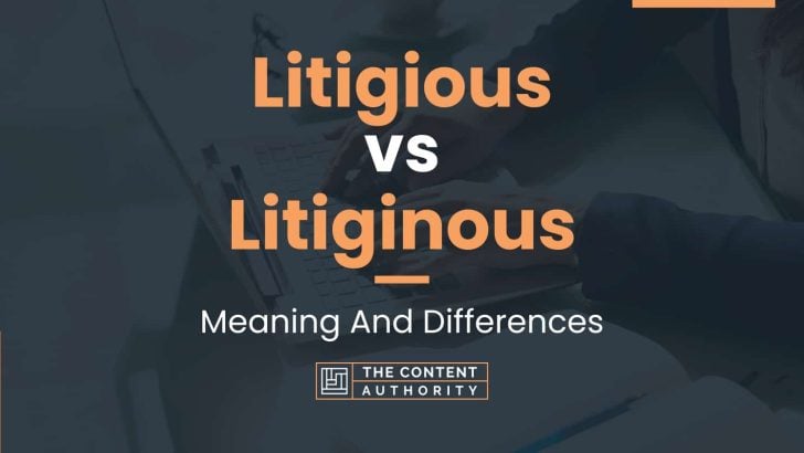 Litigious vs Litiginous: Meaning And Differences