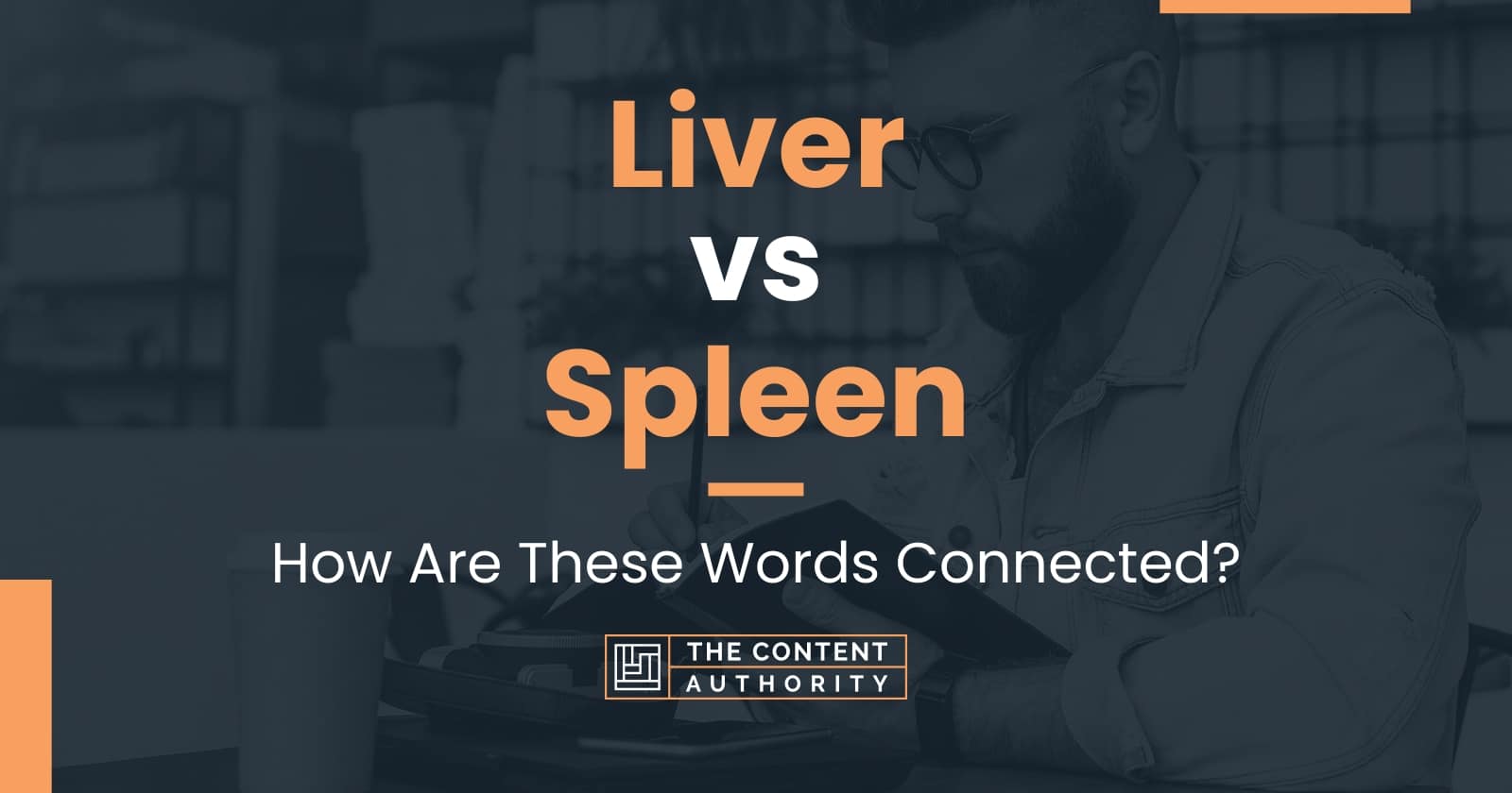 Liver Vs Spleen How Are These Words Connected