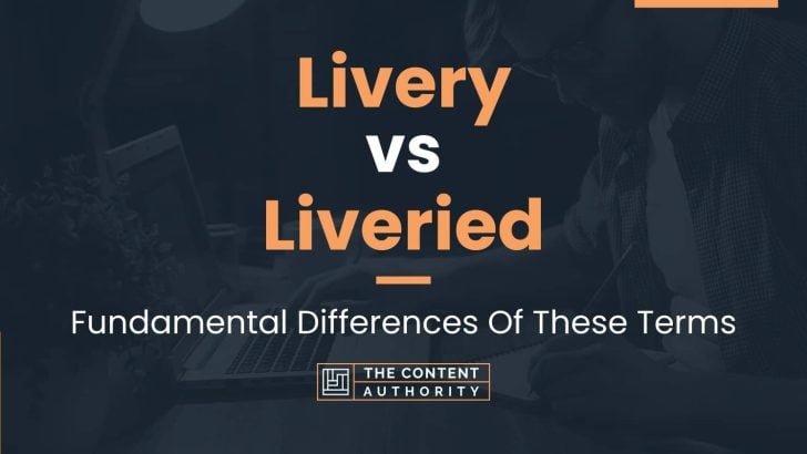 Livery vs Liveried: Fundamental Differences Of These Terms