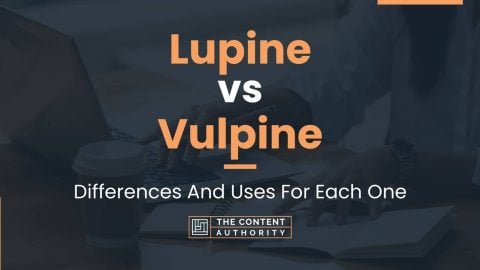 Lupine vs Vulpine: Differences And Uses For Each One