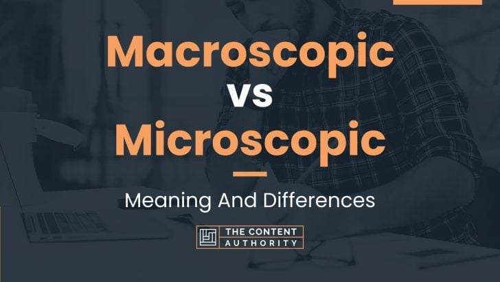 Macroscopic vs Microscopic: Meaning And Differences