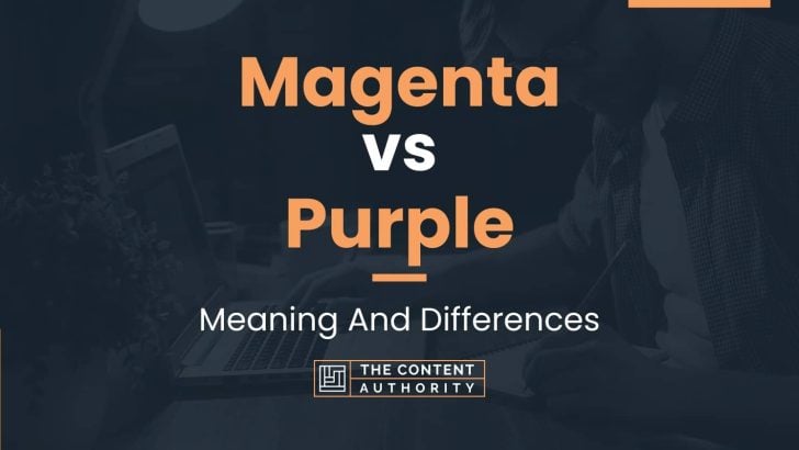 Magenta vs Purple: Meaning And Differences