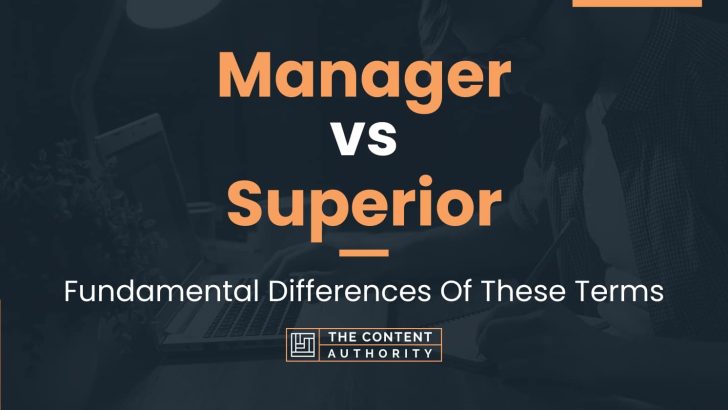 manager-vs-superior-fundamental-differences-of-these-terms